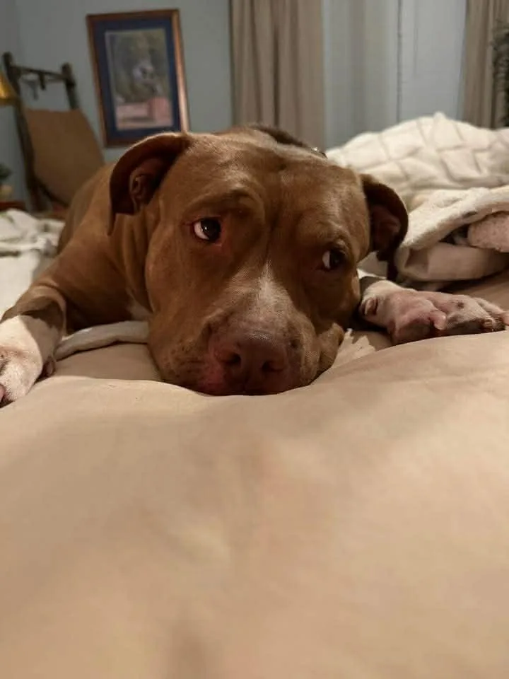 Miss Libby thumbnail 2