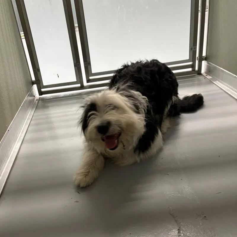 Thursday thumbnail 2