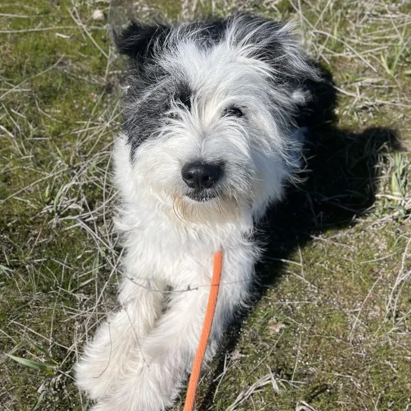 Thursday thumbnail 3