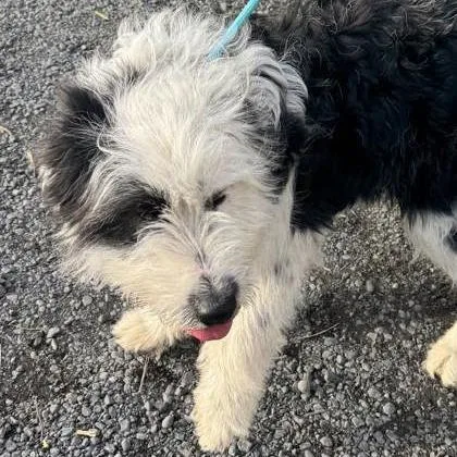 Thursday thumbnail 4