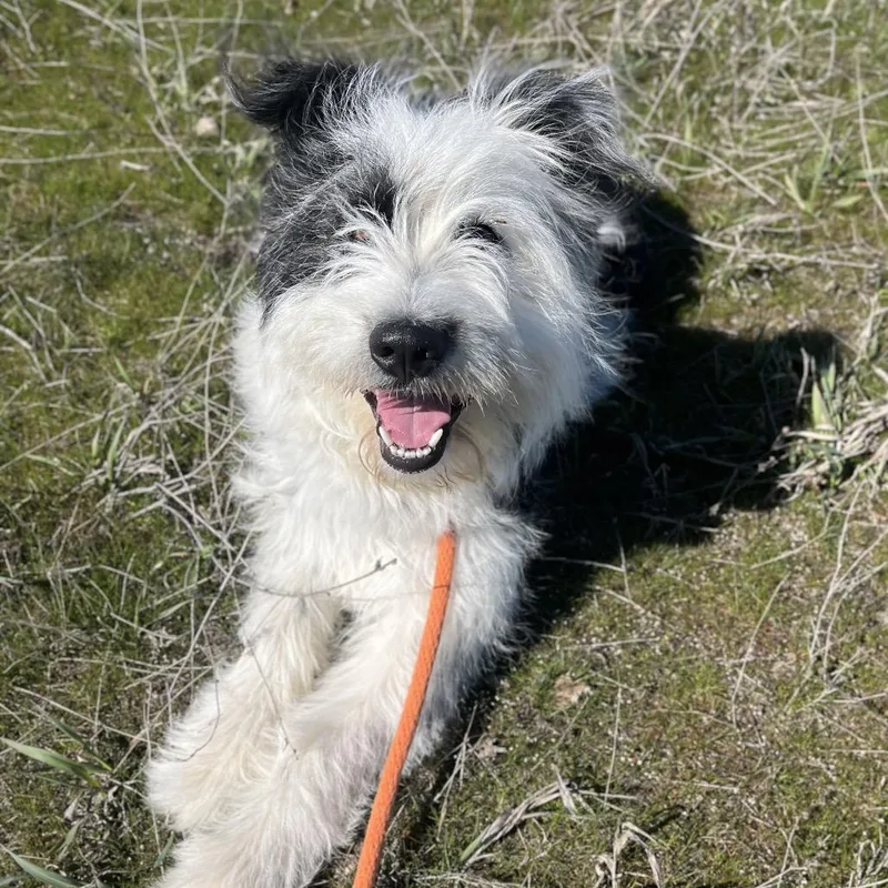 Thursday thumbnail 5