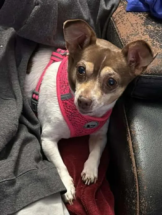 Emma In Tx thumbnail 2