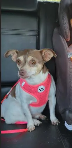 Emma In Tx thumbnail 3