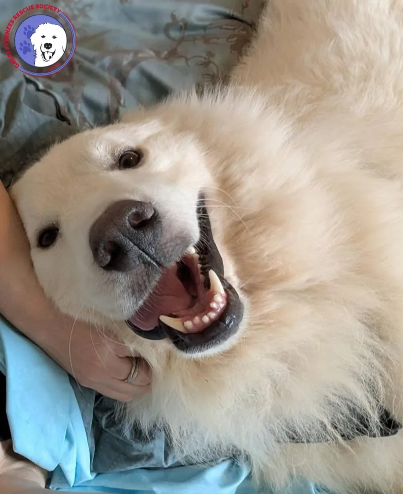 Ted thumbnail 4