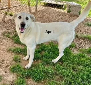 April thumbnail 2