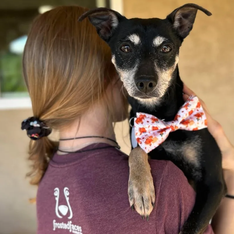 Professor Plum thumbnail 2