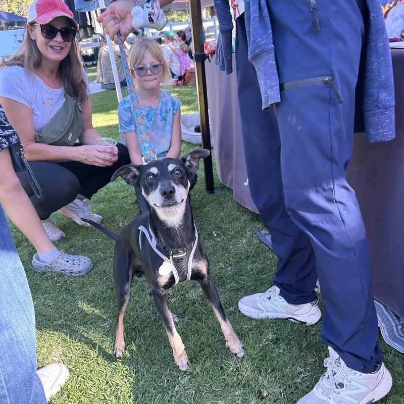 Professor Plum thumbnail 5