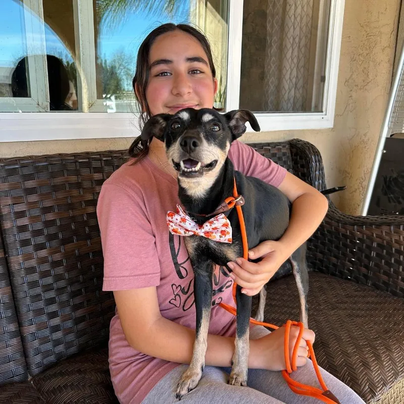 Professor Plum thumbnail 6