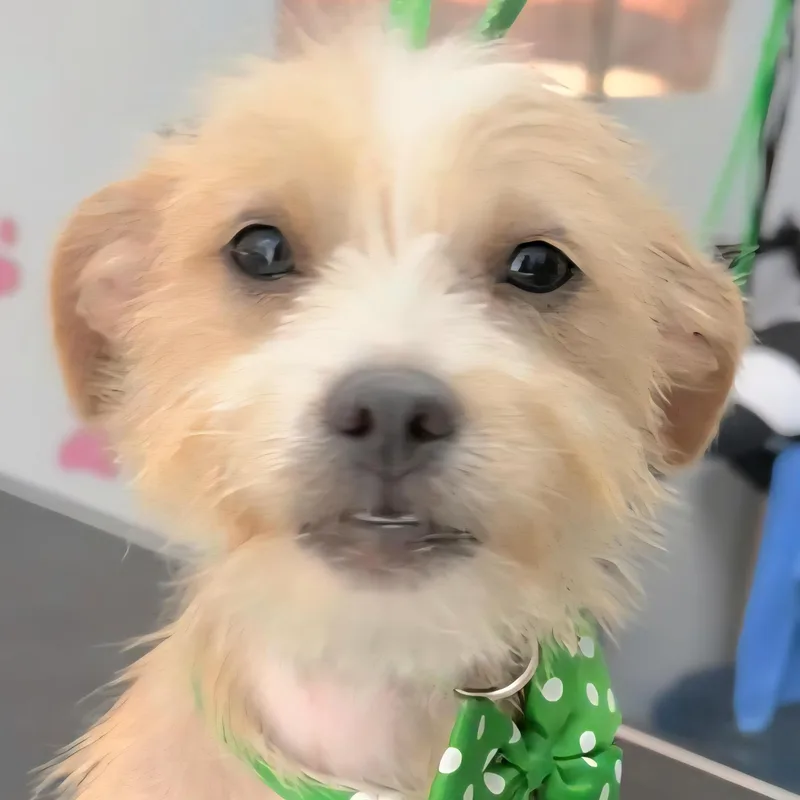 Ayla Elise "your.baby Girl."