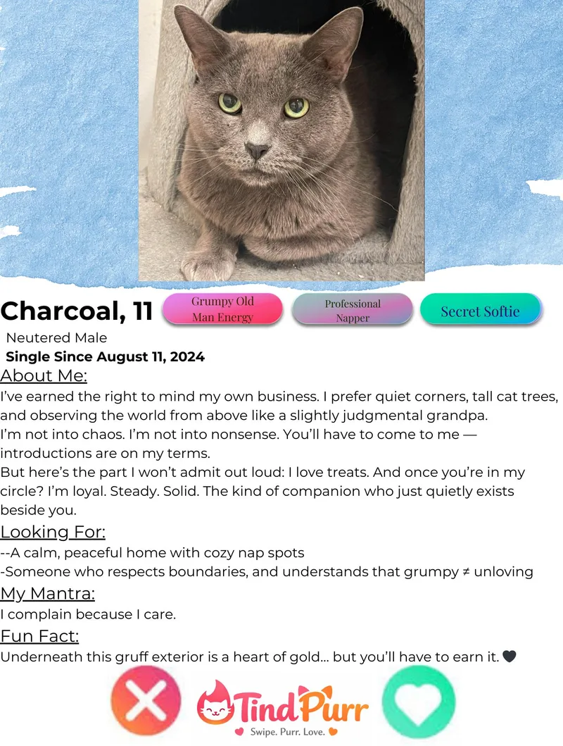 Charcoal thumbnail 2