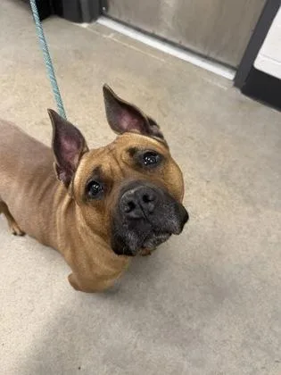 Lavernia thumbnail 2