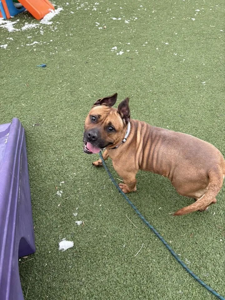 Lavernia thumbnail 4