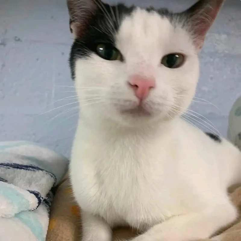 Lucy aka Mariah thumbnail 2