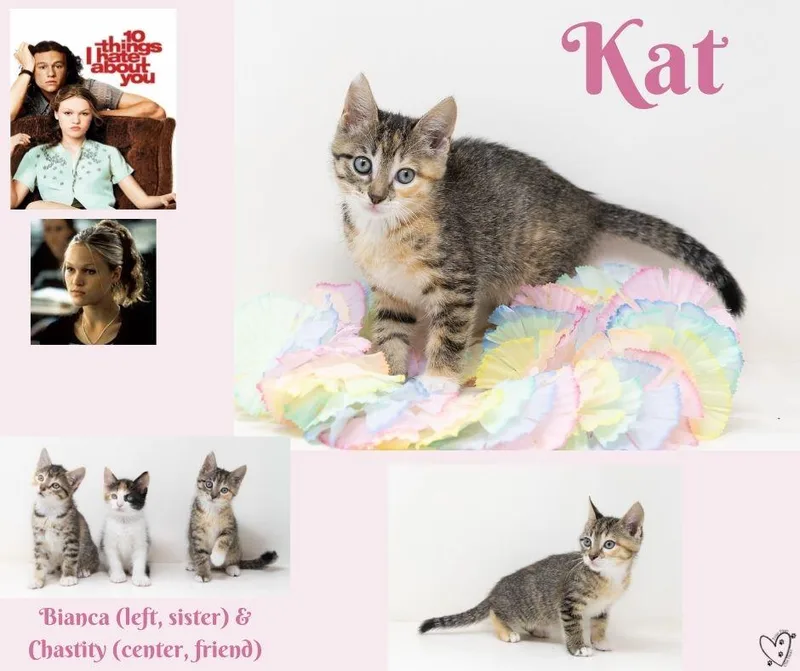 Kat thumbnail 6