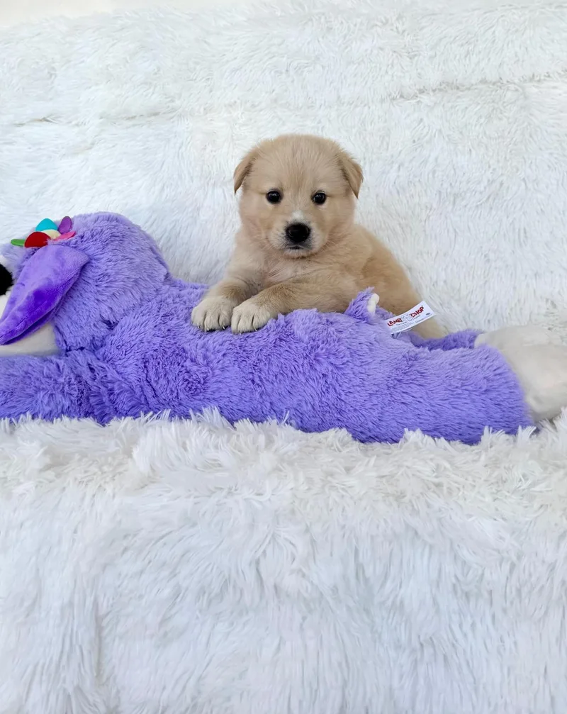 Charlie