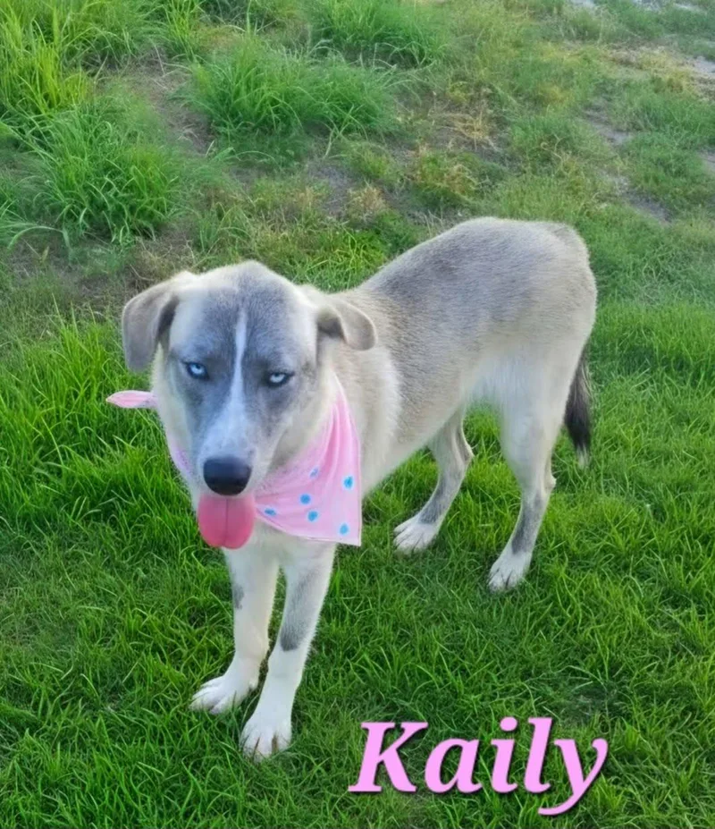 Kaily thumbnail 4