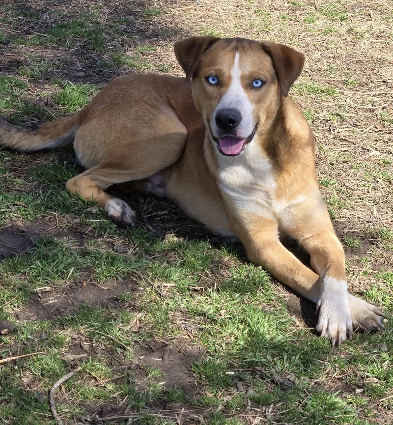 Tango And Cash thumbnail 2