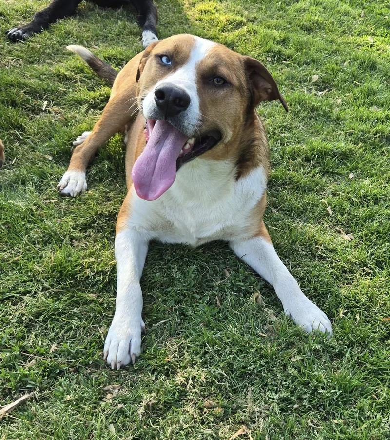 Tango And Cash thumbnail 5