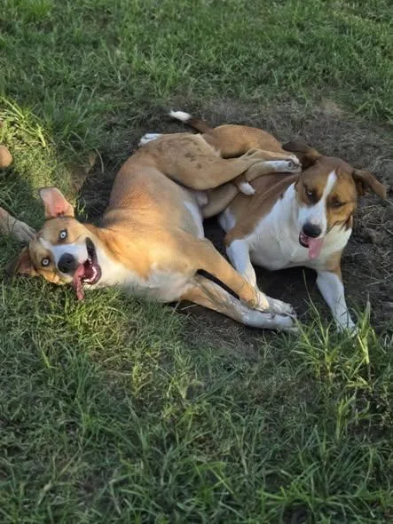 Tango And Cash thumbnail 6