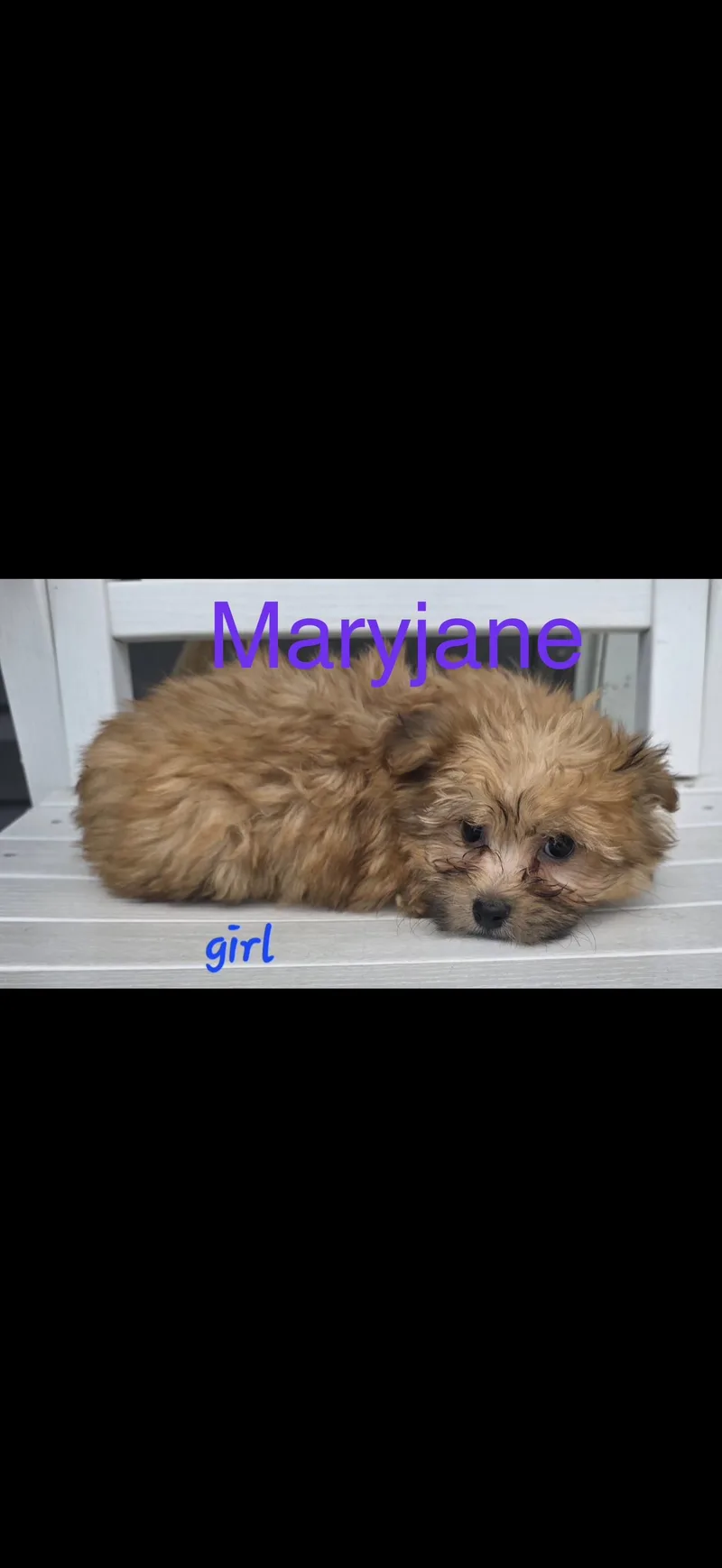 Maryjane