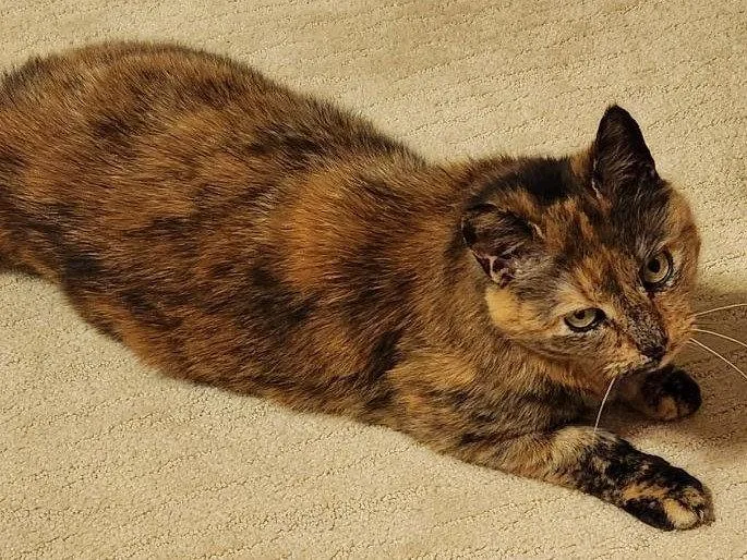 Maggie