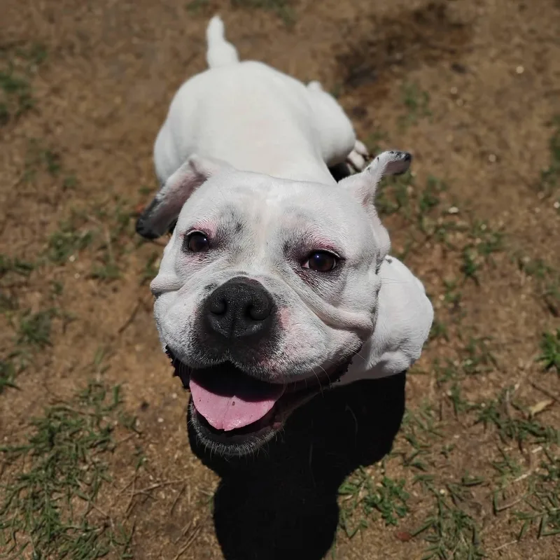 Ellie Mae