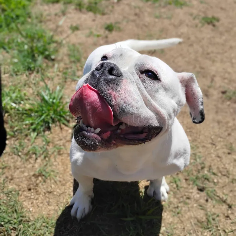 Ellie Mae thumbnail 2