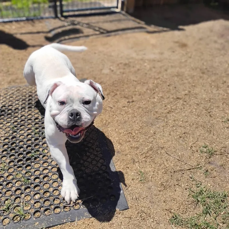 Ellie Mae thumbnail 3