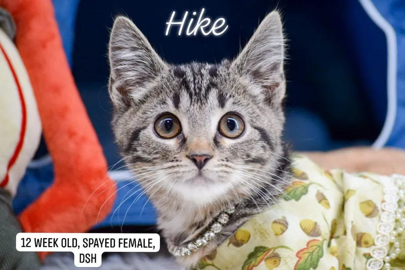 Hike thumbnail 3