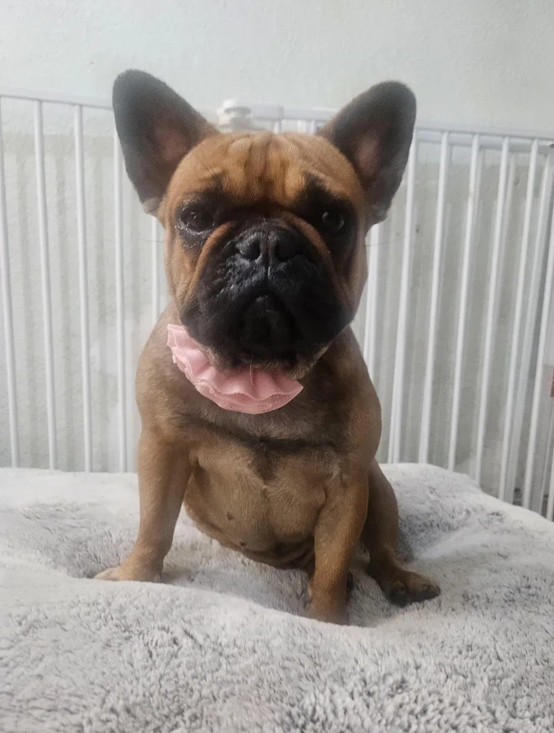 Roxy thumbnail 3