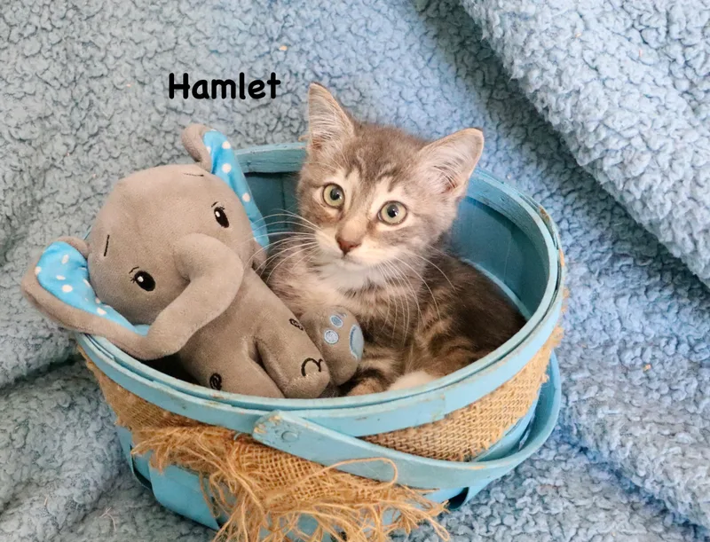 Hamlet thumbnail 5