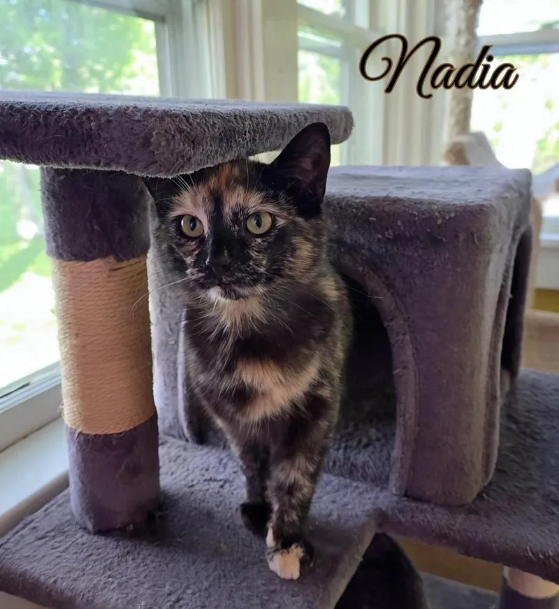 Nadia thumbnail 2