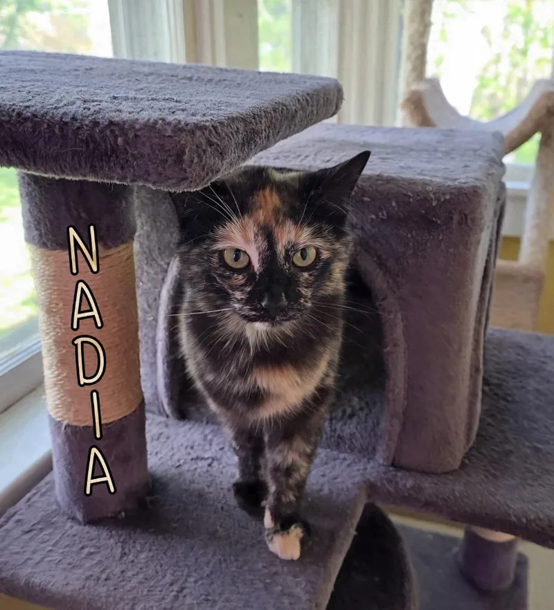 Nadia thumbnail 3