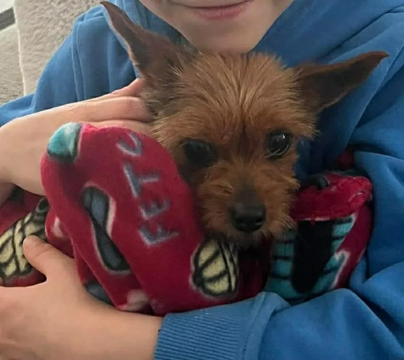 Peanut thumbnail 4