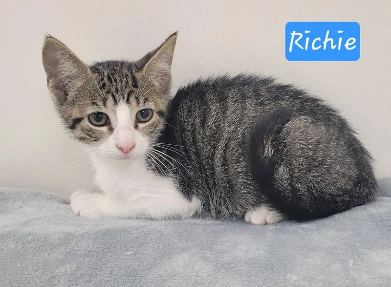 Richie thumbnail 2