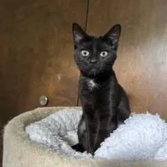Trudy thumbnail 3