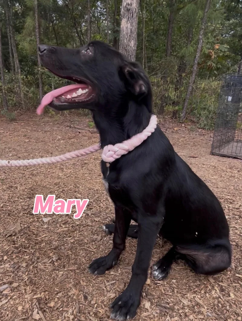 Mary thumbnail 6