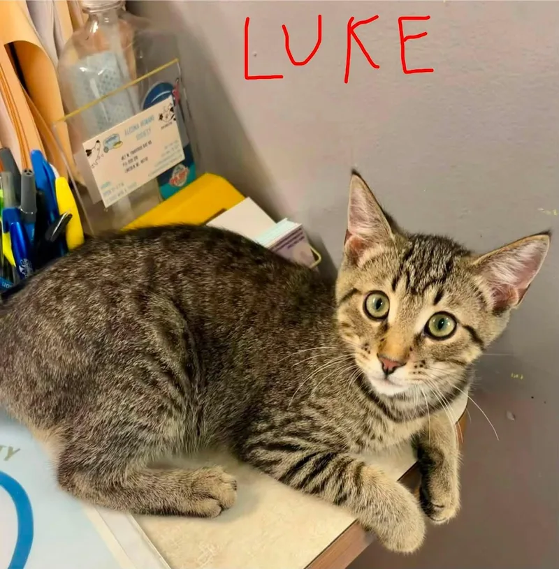 Luke