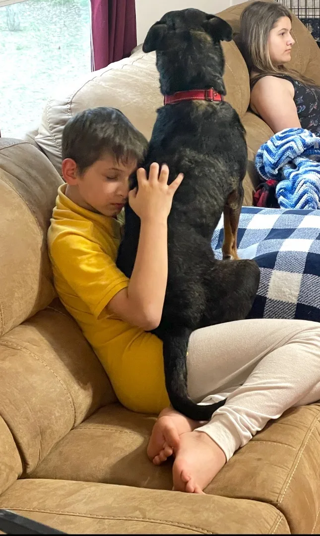 Henry “hinny Honey” thumbnail 5