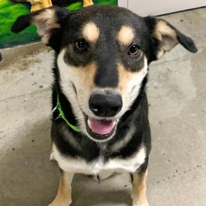 Bella Maggie thumbnail 2