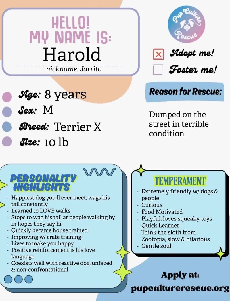 Harold thumbnail 6