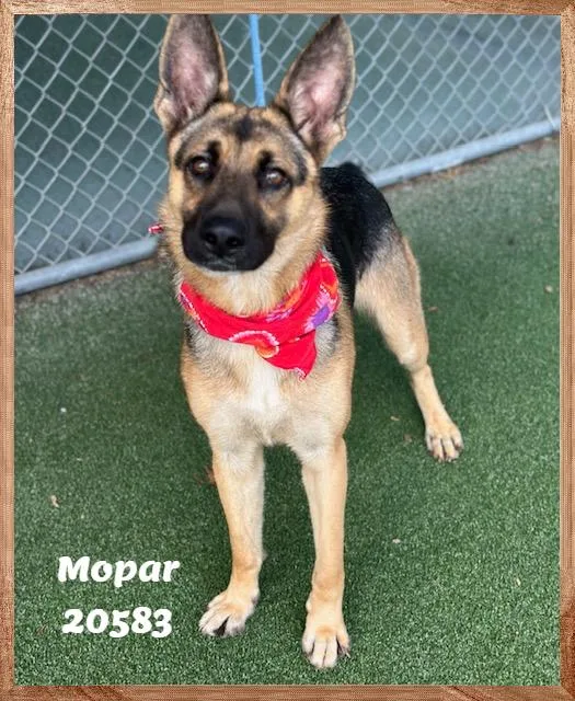Mopar