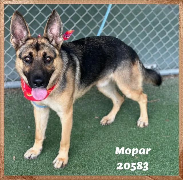 Mopar thumbnail 2