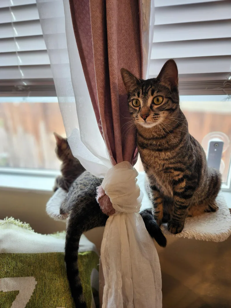 Tizzy And Smidge thumbnail 2