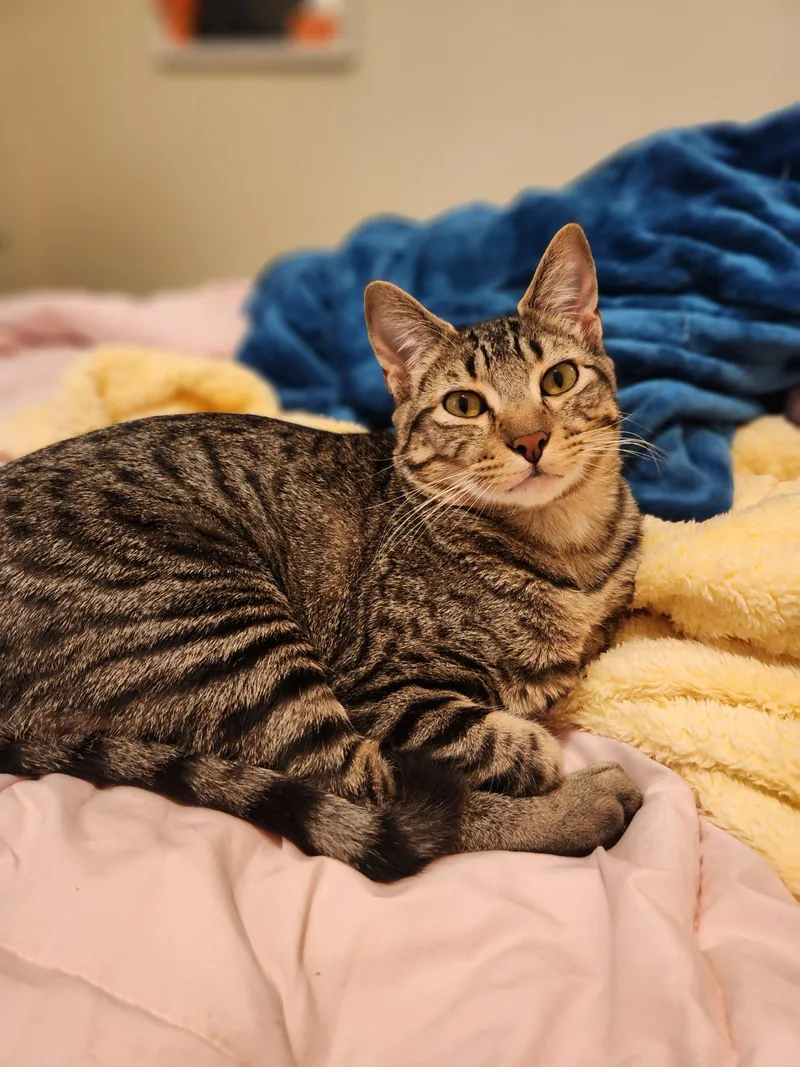 Tizzy And Smidge thumbnail 4