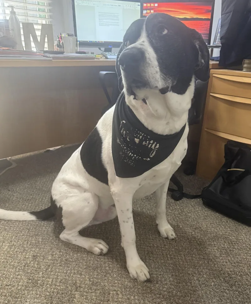 Max