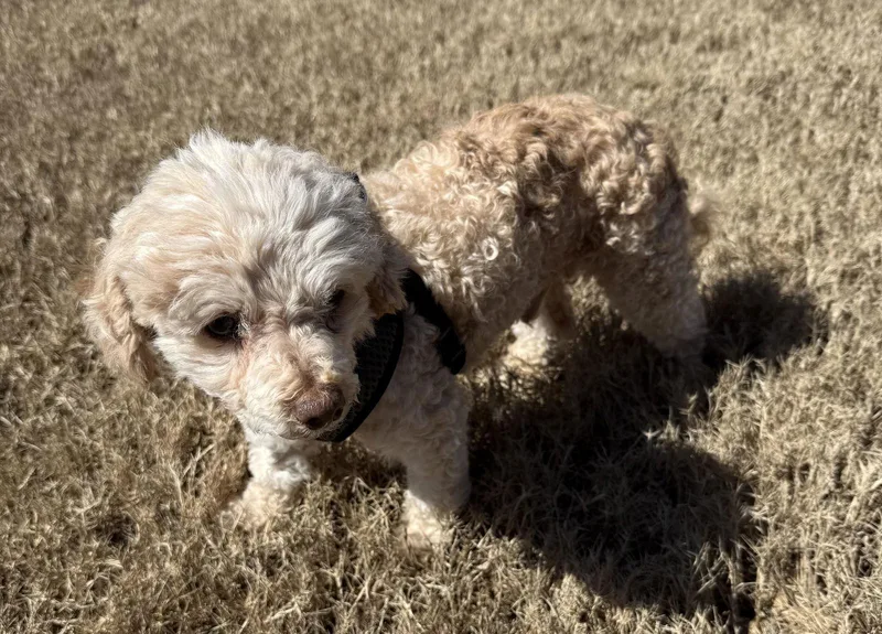 Murray Mills thumbnail 3