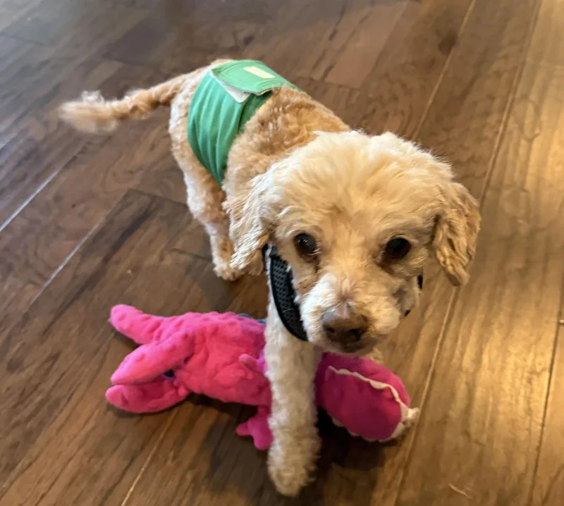 Murray Mills thumbnail 4