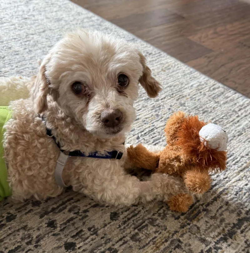 Murray Mills thumbnail 6