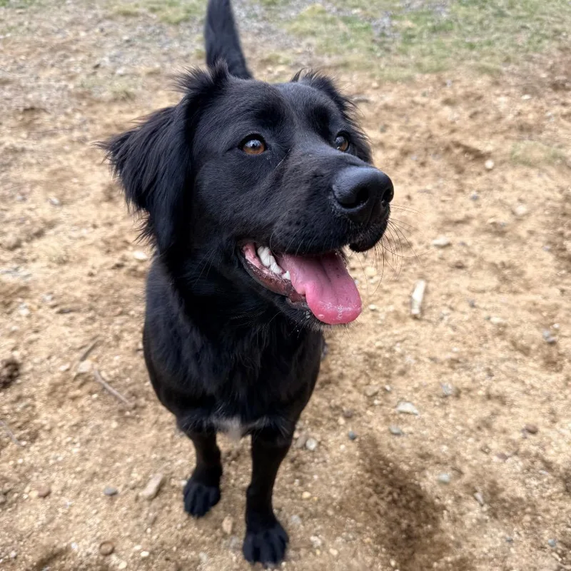 Ct Kalani thumbnail 2